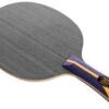 DHS HURRICANE 301